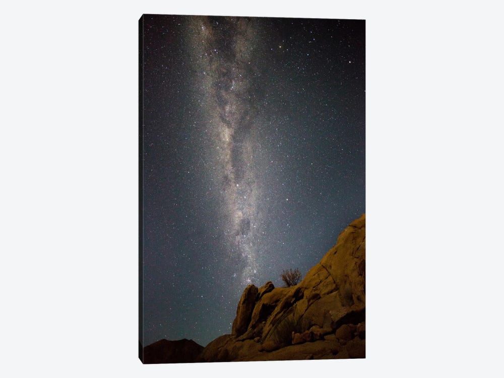Milky Way Galaxy As Seen From Richtersveld, North Cape, South Africa by Bill Young 1-piece Canvas Wall Art