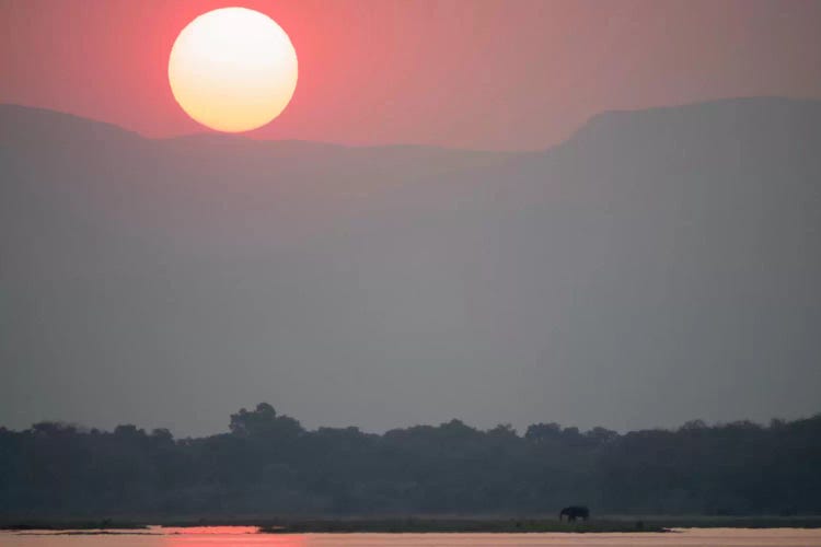 Magnificent Sunset, Zambezi River