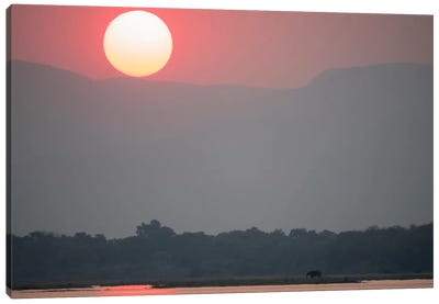 Magnificent Sunset, Zambezi River Canvas Art Print