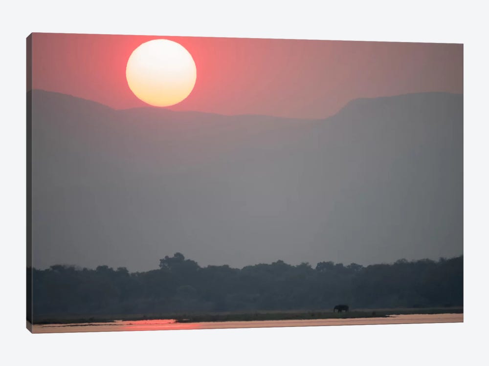 Magnificent Sunset, Zambezi River by Bill Young 1-piece Canvas Print