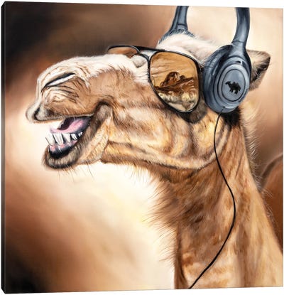 Hump Day Canvas Art Print - Camel Art