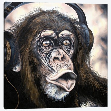 Brass Monkey Canvas Print #BYV32} by Bobby Vandenhoorn Canvas Art Print