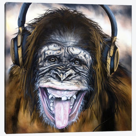 Funky Monkey Canvas Print #BYV34} by Bobby Vandenhoorn Canvas Wall Art