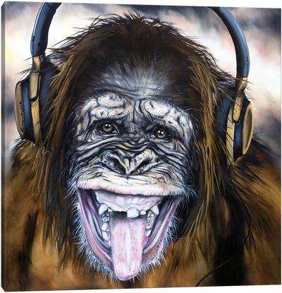 Funky Monkey Canvas Art Print - Monkey Art