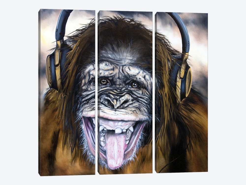Funky Monkey by Bobby Vandenhoorn 3-piece Canvas Print