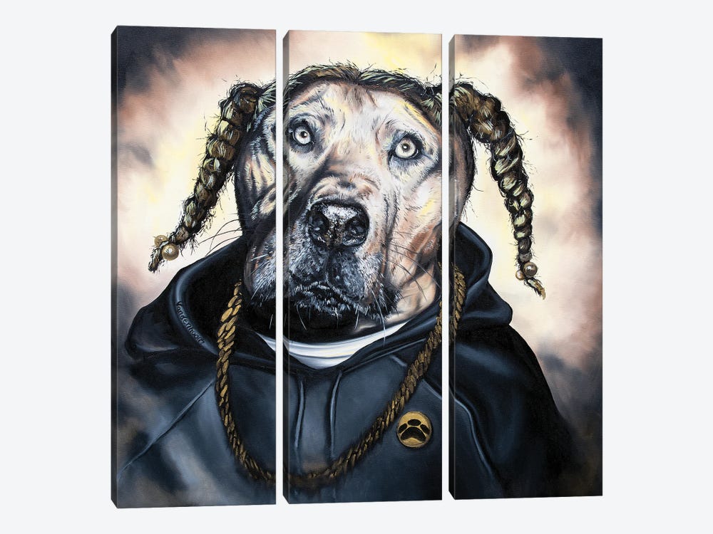 Snoop Dog Dog by Bobby Vandenhoorn 3-piece Canvas Artwork