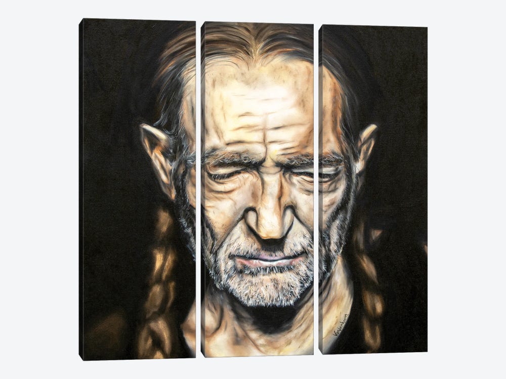 Willie by Bobby Vandenhoorn 3-piece Canvas Wall Art