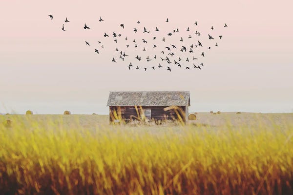 Harvest Barn