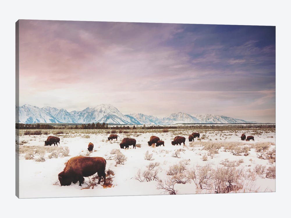 Herds of The Tetons by Annie Bailey Art 1-piece Canvas Art Print