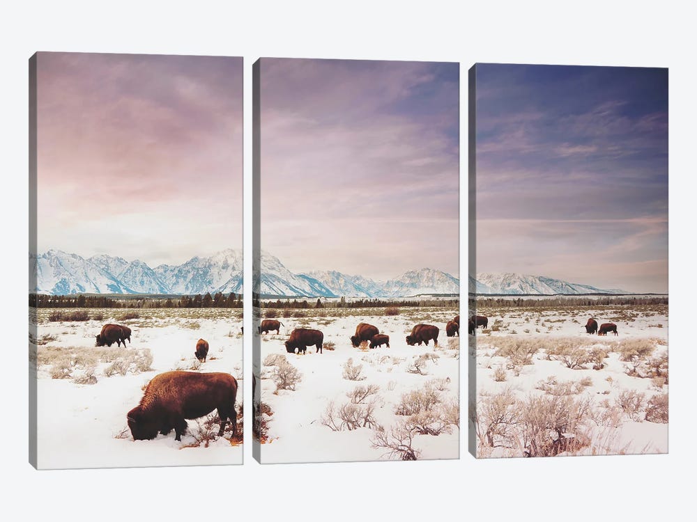 Herds of The Tetons by Annie Bailey Art 3-piece Canvas Print