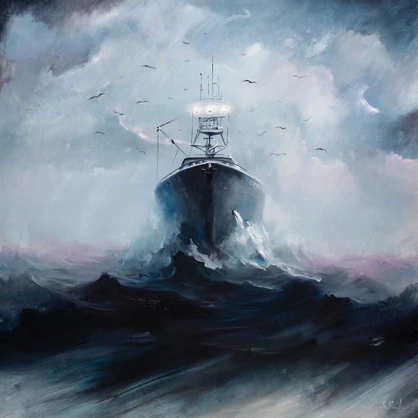 Cruise Ships: The Strong by Bozhena Fuchs