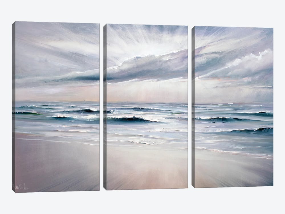 After The Storm by Bozhena Fuchs 3-piece Canvas Artwork