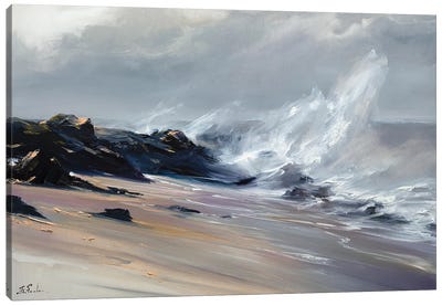 The Morning Wind Canvas Art Print - Bozhena Fuchs