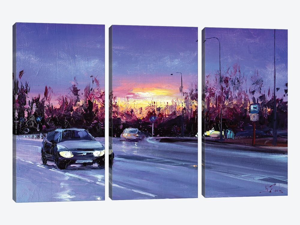 On The Way To Home by Bozhena Fuchs 3-piece Canvas Artwork