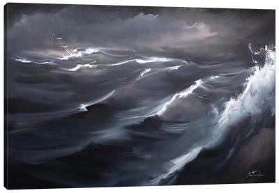 Night Storm Canvas Art Print - Bozhena Fuchs