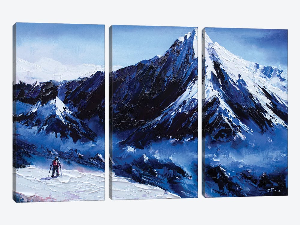 The Climber by Bozhena Fuchs 3-piece Canvas Artwork