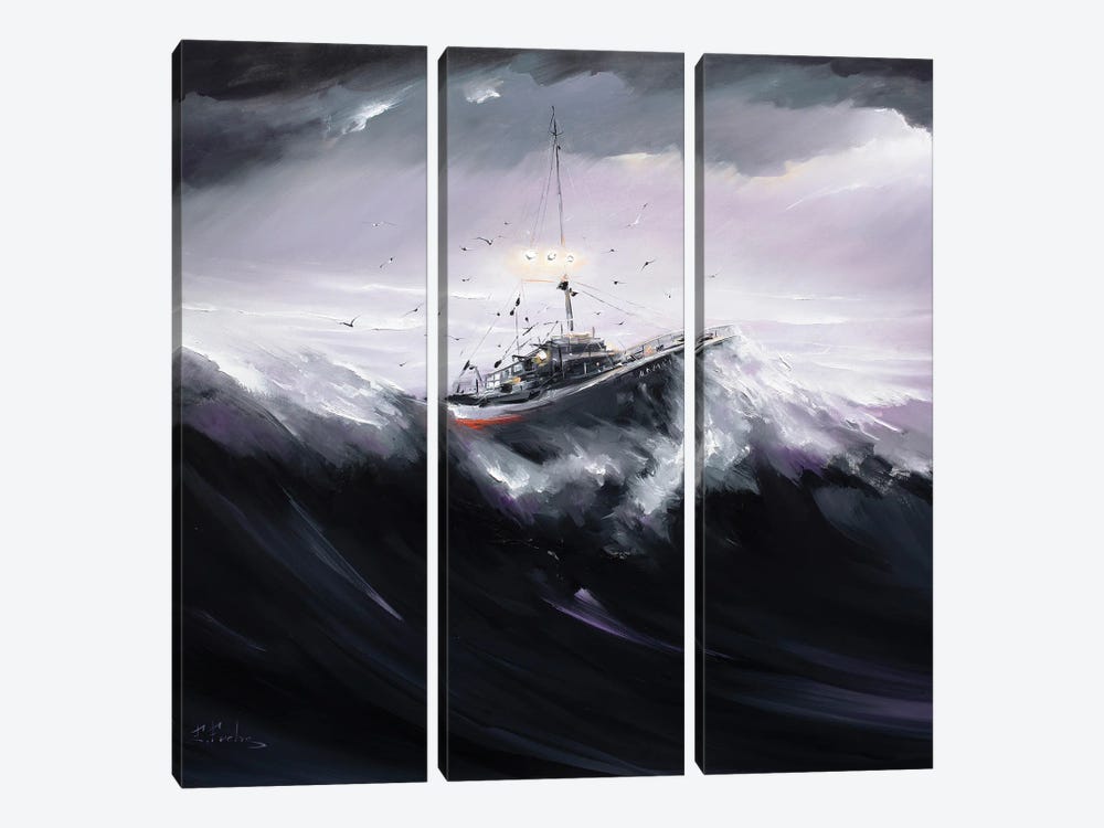 Admiral by Bozhena Fuchs 3-piece Canvas Wall Art