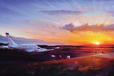 Ready To Fly by Bozhena Fuchs framed wall art