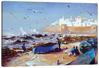 Essaouira, Morocco Canvas Art Print - Gull & Seagull Art