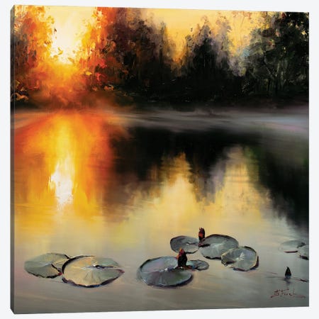 Summer Evening On The Lake Canvas Print #BZH186} by Bozhena Fuchs Canvas Artwork