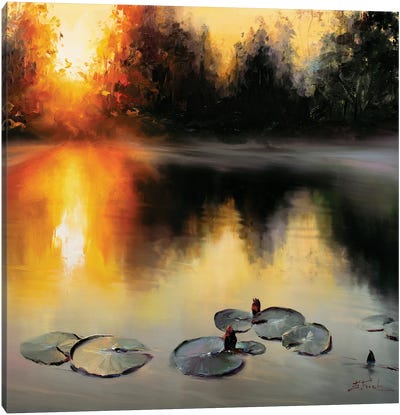Summer Evening On The Lake Canvas Art Print - Bozhena Fuchs