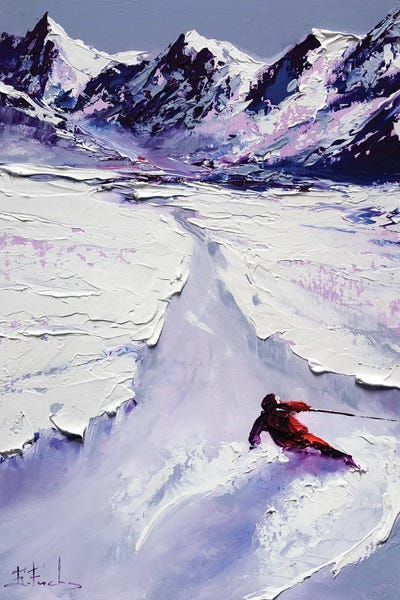 Fastest Skier by Bozhena Fuchs framed canvas print