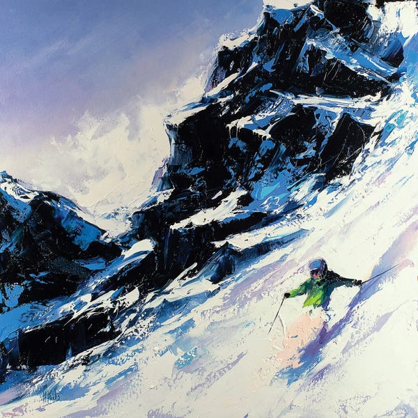 Snowy Mountains: Fast Skier by Bozhena Fuchs