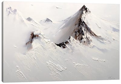 Arctic Heights Canvas Art Print - Bozhena Fuchs