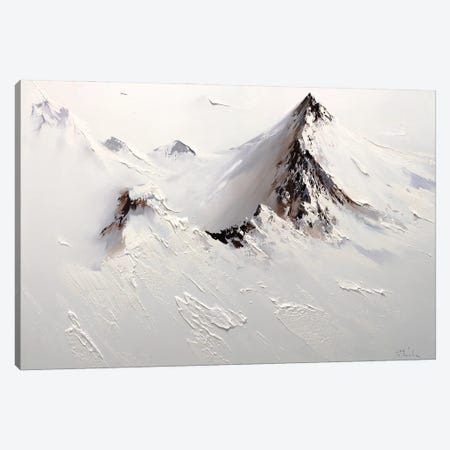 Arctic Heights Canvas Print #BZH203} by Bozhena Fuchs Canvas Wall Art
