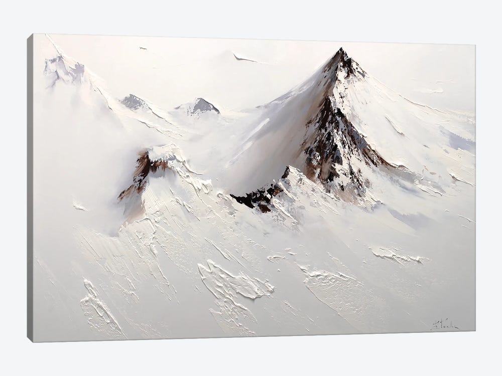 Arctic Heights by Bozhena Fuchs 1-piece Canvas Artwork