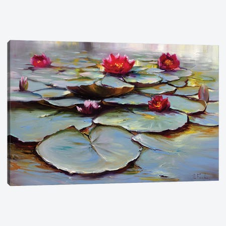 Blooming Water Lilies Canvas Print #BZH226} by Bozhena Fuchs Canvas Art Print