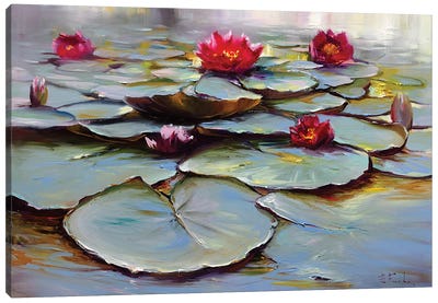 Blooming Water Lilies Canvas Art Print - Lily Art
