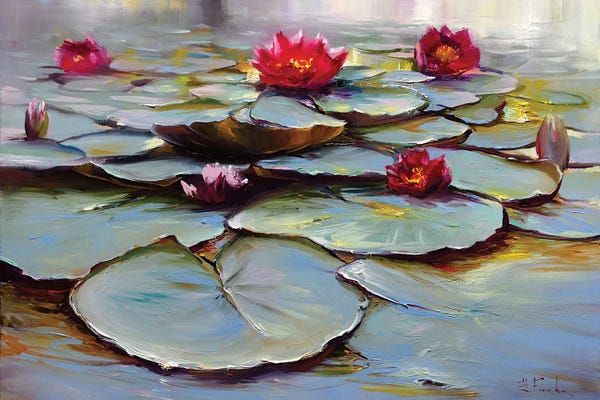 Water Lilies: Blooming Water Lilies by Bozhena Fuchs