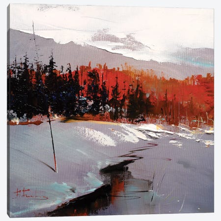 Redwood Reverie Canvas Print #BZH233} by Bozhena Fuchs Canvas Art Print