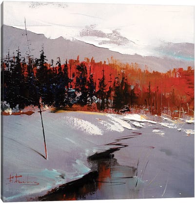 Redwood Reverie Canvas Art Print - Bozhena Fuchs