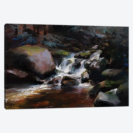 Whispers Of The Woodland Stream Canvas Print #BZH237} by Bozhena Fuchs Canvas Artwork