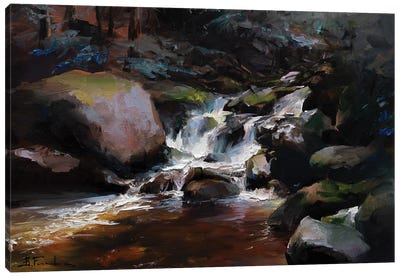 Whispers Of The Woodland Stream Canvas Art Print - Bozhena Fuchs