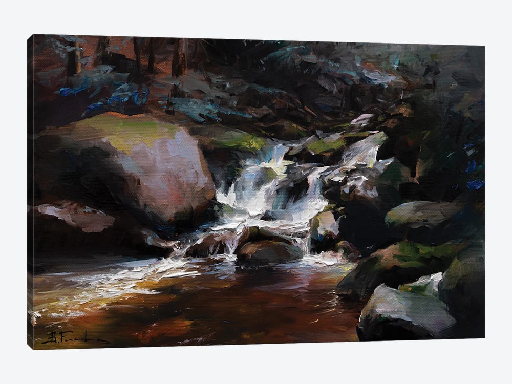 Whispers Of The Woodland Stream by Bozhena Fuchs 1-piece Canvas Print