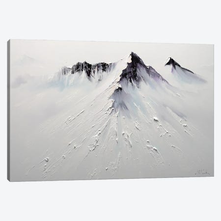 Arctic Majesty Canvas Print #BZH240} by Bozhena Fuchs Canvas Artwork
