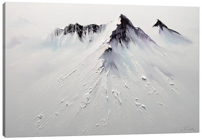 Arctic Majesty Canvas Art Print - Bozhena Fuchs