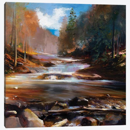 A Forest's Fall Cascade Canvas Print #BZH246} by Bozhena Fuchs Canvas Print
