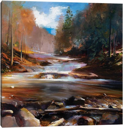 A Forest's Fall Cascade Canvas Art Print - Bozhena Fuchs