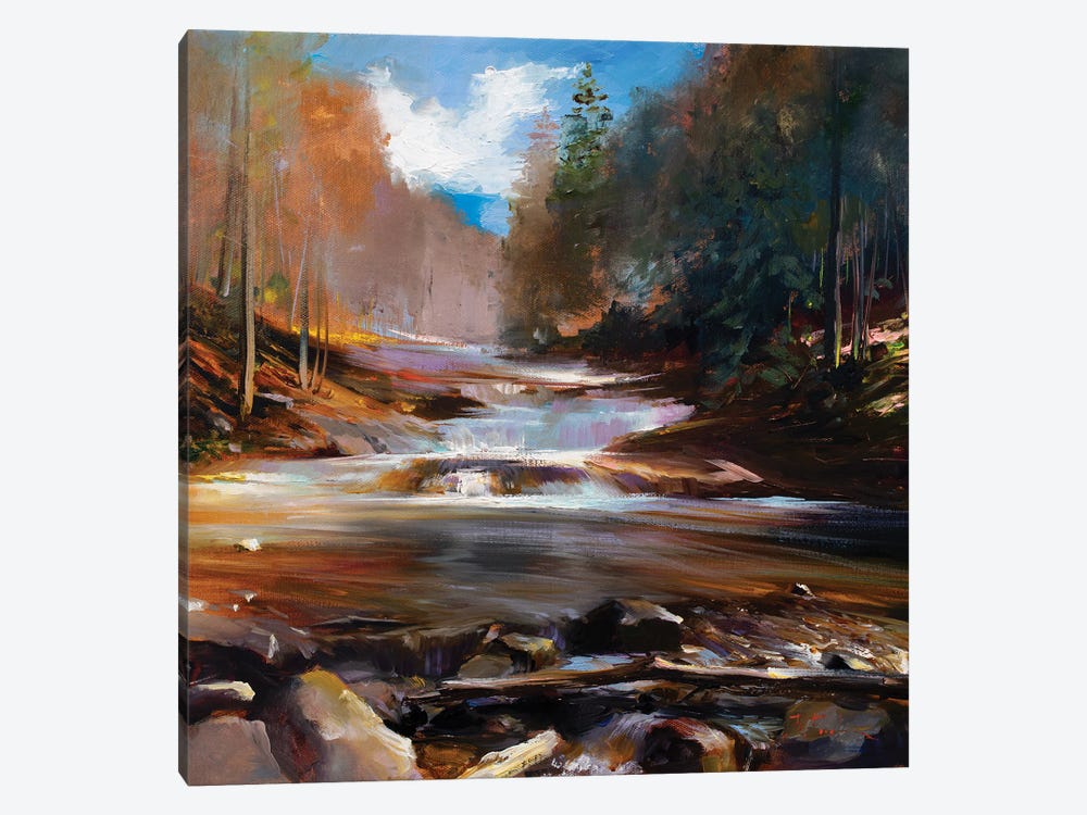 A Forest's Fall Cascade by Bozhena Fuchs 1-piece Canvas Art Print