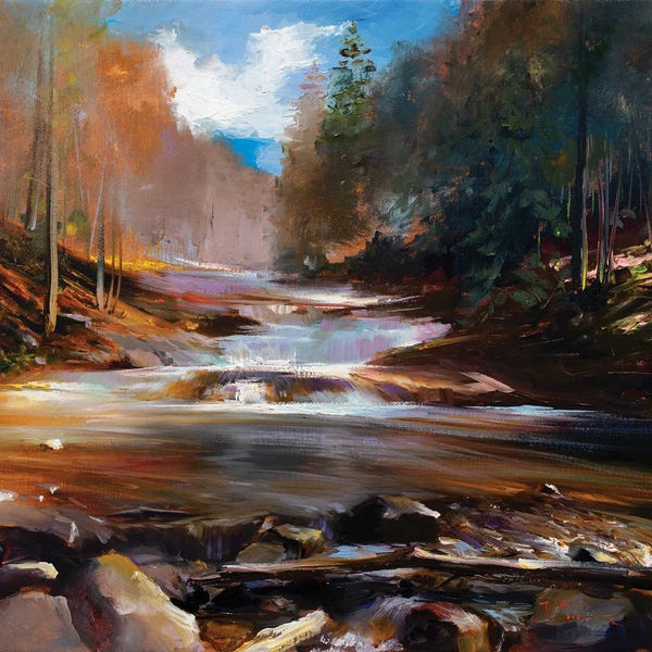Bozhena Fuchs: A Forest's Fall Cascade by Bozhena Fuchs