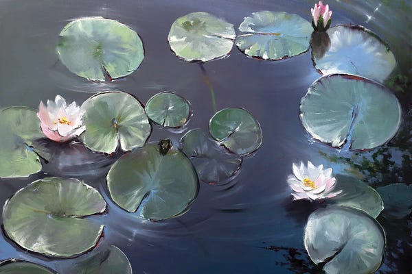 Lotuses: Springs Awakening by Bozhena Fuchs