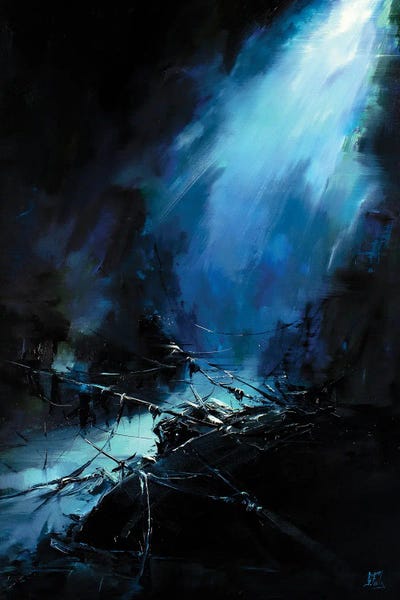 The Shipwreck by Bozhena Fuchs framed wall art