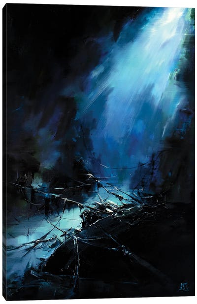 The Shipwreck Canvas Art Print - Bozhena Fuchs