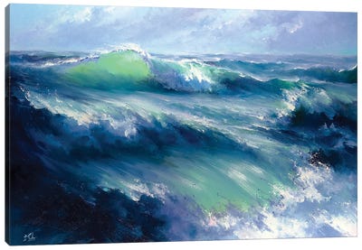 Morning Storm Canvas Art Print - Bozhena Fuchs