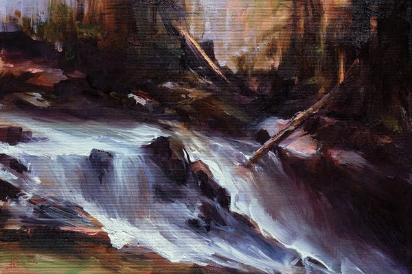 Bozhena Fuchs: Mountain Runoff by Bozhena Fuchs