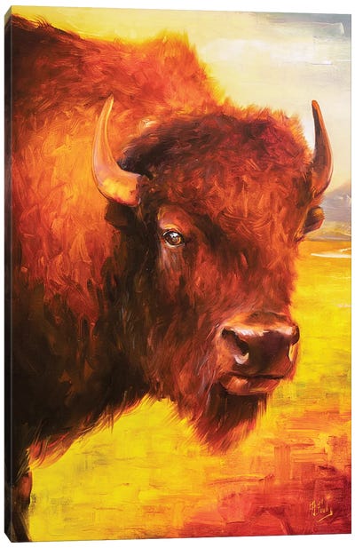 Bison Canvas Art Print - Bozhena Fuchs